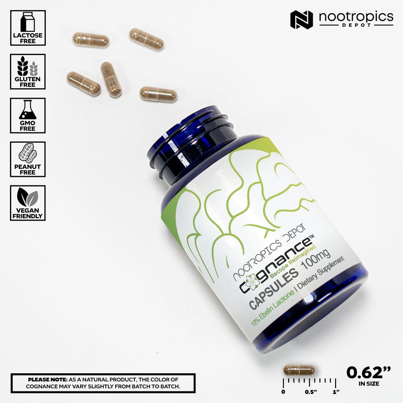 [Australia] - Nootropics Depot Cognance Enhanced Bacopa Capsules | 100mg | 10% Ebelin Lactone | Bacopa monnieri | Mood, Memory, & 5-HT2A Activation, 60 Count (Pack of 1) 60 Count (Pack of 1) 