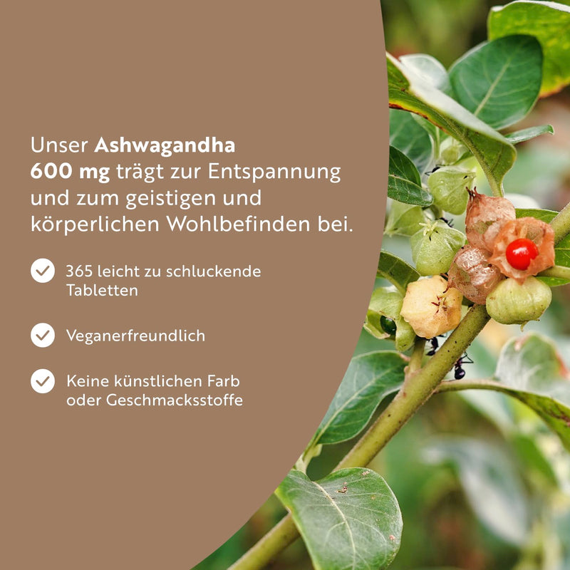 [Australia] - Ashwagandha high dose - 365 vegan tablets (1 year supply) - 600mg per tablet - Highly effective Ashwaganda root powder - Alternative to Ashwagandha capsules - Indian sleepberry - Nutravita 