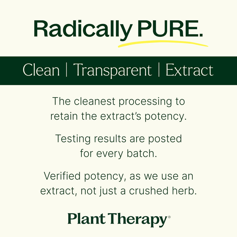 [Australia] - Plant Therapy Holy Basil Herbal Supplement Capsules, Supports Emotional Stability & Positive Mood, Combats Fatigue & Mental Tension, 120 Vegetarian Capsules 