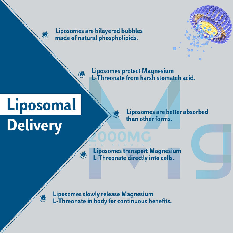 Liposomal Magnesium Softgels 2000mg - Magnesium Supplement with Vitamin D3 & K2 Non-GMO, Gluten-Free 60 Softgels ((60 Count (Pack of 1))) (60 Count (Pack of 1))