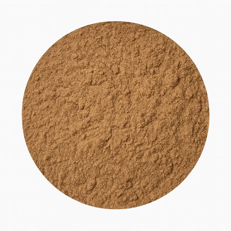 Horsetail Extract Powder 10:1 – Natural Silica Supplement by Nature’s Root – Premium Horse Tail Herb – Silicium-Rich Botanical Powder for Smoothies & Teas – Vegan, Pure, Filler-Free (200g)