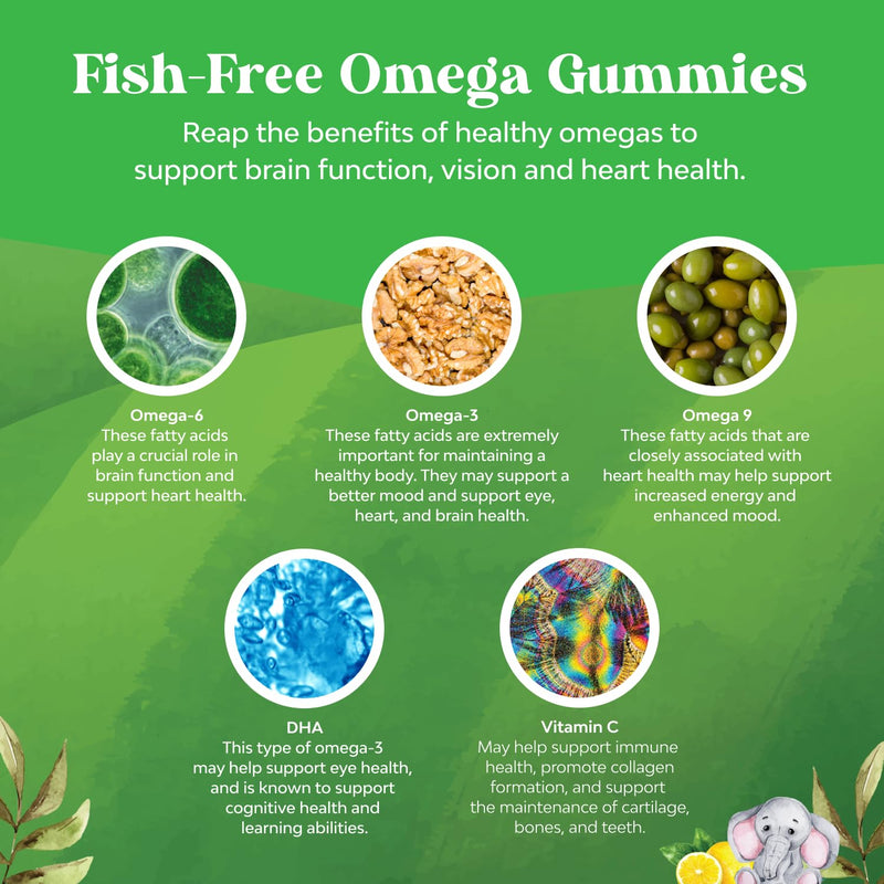 Bundle of Kids DHA Omega 3 Gummies - Fatty Acids Omega 3 6 9 for Brain Immune Strength Vision Focus Support and Liquid Multivitamin for Kids Immunity Support - Yummy Toddler Supplement High Absorption