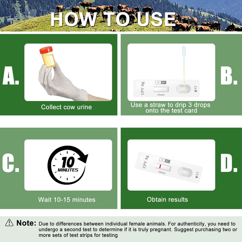Cow Pregnancy Test kit, Home/Small Farm Use, 10-15 Minutes to Obtain Test Results, Accuracy Rate of Over 98.8%, Painless, Accurate and Quick