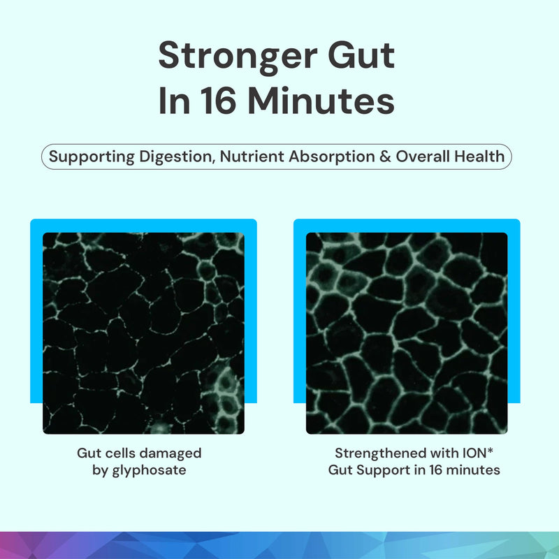 ION Gut Health Supplement 236ml | ION* Gut + Microbiome | Support that Goes Beyond Probiotics | Promotes Digestive Wellness, Alleviates Gluten Sensitivity | Strengthens Gut Lining| Bloating Relief 236 ml