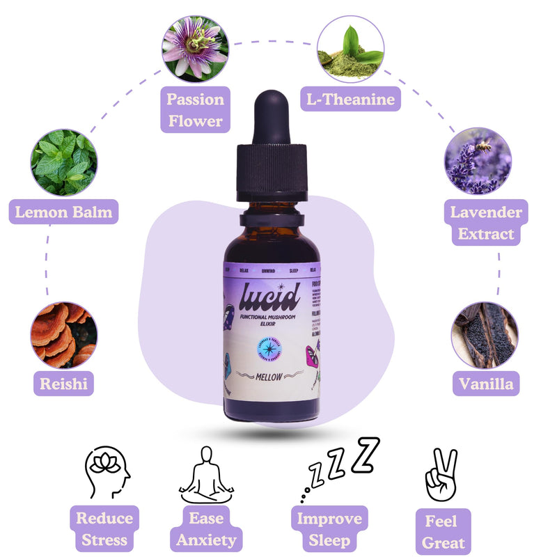 Lucid Mellow Elixir – Sleep & Calm Support with Reishi, Lemon Balm, Passion Flower & L-Theanine – Lavender & Vanilla – 30ml, Alcohol Free, Vegan