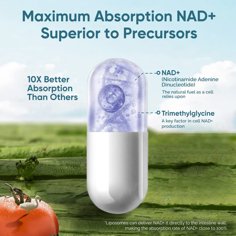 Liposomal NAD+ Supplement, 120 Count True NAD+ for Cellular Vitality & Energy Metabolism 1 Count (Pack of 120)