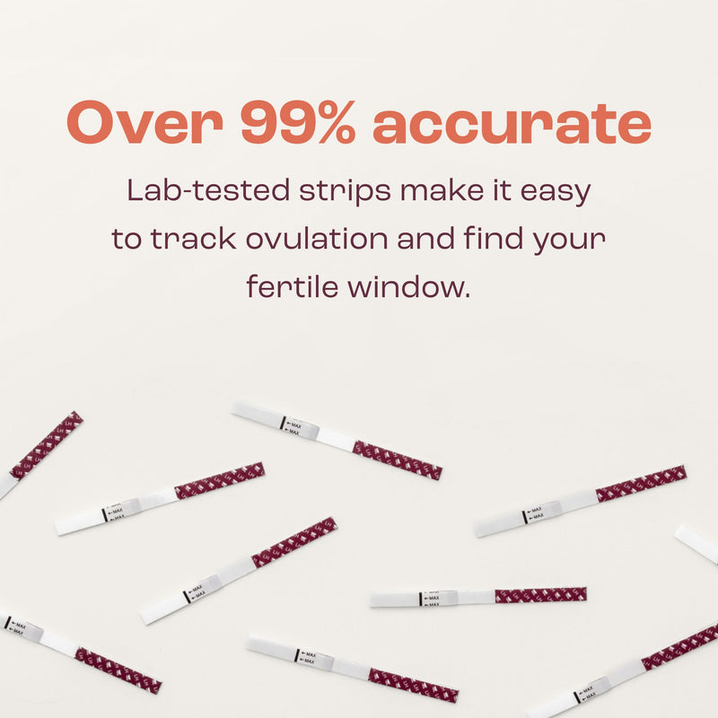 bird&be Ovulation Test Strips (LH) | 10 High-Accuracy Predictor Kits | Track Fertile Window & LH Surge | Eco-Friendly Low-Waste Design | Easy Dip & Read Results | TTC Fertility Monitor White 10 LH Strips