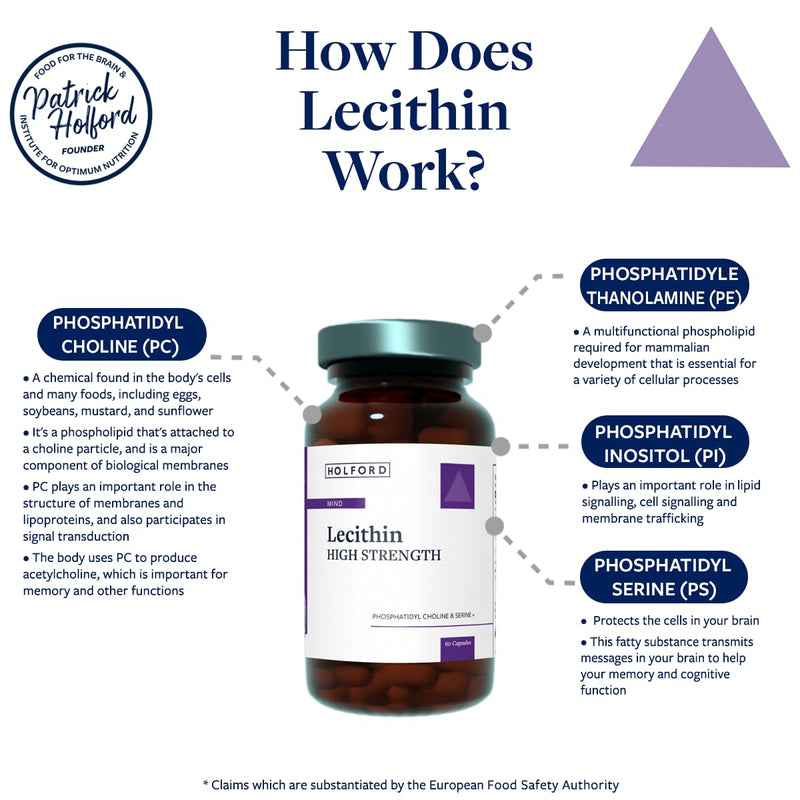 Patrick HOLFORD Lecithin High Strength/Brain Supplement/for Brain Function & Memory Support / 4 Nutrients / 504mg Phospholipid Choline/Naturally Sourced / 60 Capsules/Vegan/for Women & Men