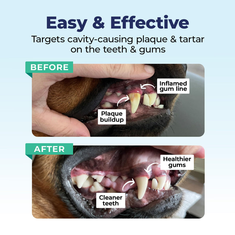 [Australia] - Vetnique Dentabliss - Dog Teeth Cleaning Finger Mitt Dental Wipe - Dog Plaque & Tartar Prevention with Brushing Beads - Flavored Dog Teeth Wipes, Dog Breath Freshener (Peppermint) Peppermint 