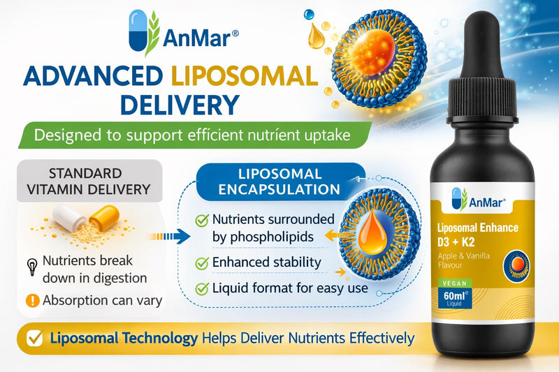 AnMar® Liposomal Vitamin D3 + K2 Liquid – High Strength 4000 IU D3 with MK-7 Vitamin K2 – Apple & Vanilla Flavour Liposomal Vitamin Drops – 60ml (60 Servings)