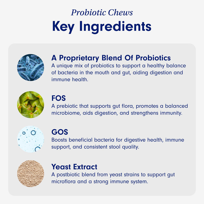 PetLab Co. - Gut & Ear Health Bundle: Probiotics for Dogs, Support Gut Health & Seasonal Allergies, & Ear Cleaner for Dogs, Supporting Yeast & Healthy Ear Canals - Easy to use Formulas - PawsPlanet Australia
