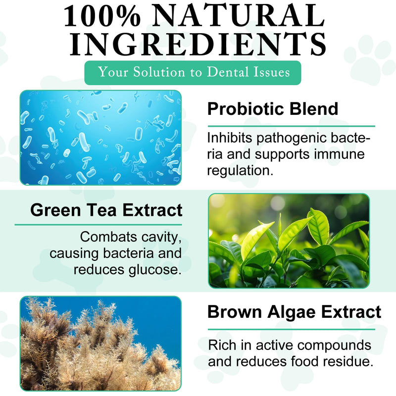 Dog Dental Powder - Teeth Cleaning Powder for Dogs - Dental Powder for Dogs - Dog Dental Care - Plaque & Bad Breath Off Powder Dog - Dental Care Supplies for Small - Medium - Large Dogs - PawsPlanet Australia