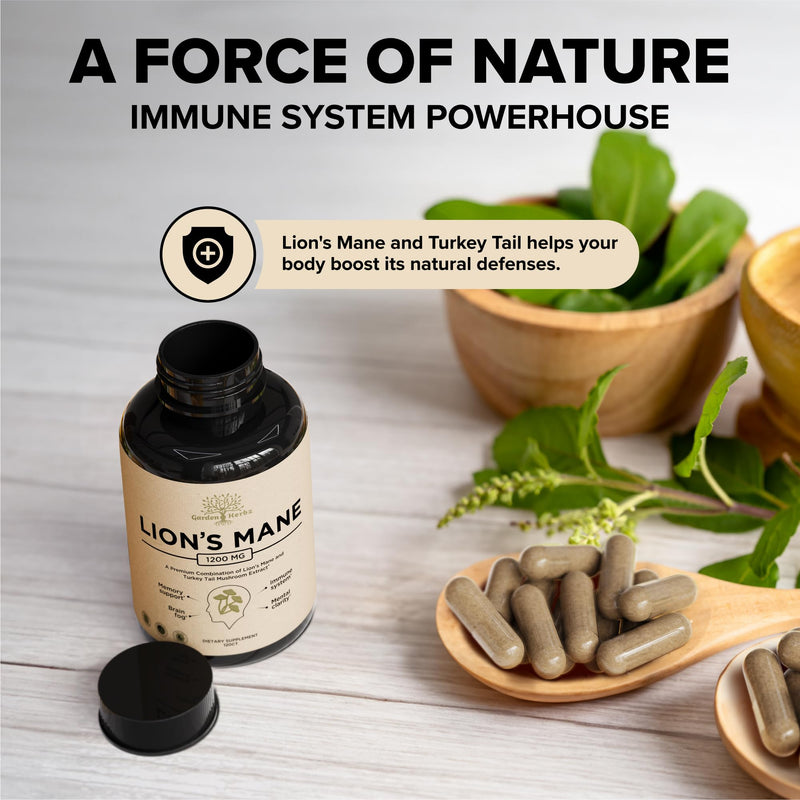 [Australia] - Lions Mane Supplement Capsules with Turkey Tail ‚Äì Nootropic Brain Fog, Focus, Memory, Nerve Function, & Immune Support Supplement ‚Äì Non-GMO 1200 Mg Lions Mane Mushroom Supplement, 120 Caps. 120 Count (Pack of 1) 