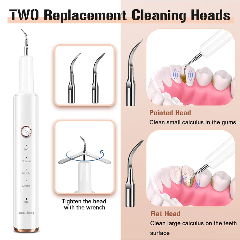[Australia] - Plaque Remover for Teeth, Electric Tooth Cleaner Tartar Remover for Teeth with LED Light,4 Modes Rechargeable Teeth Cleaning Kit with Dental Tools, 2 Replaceable Heads (White A) 