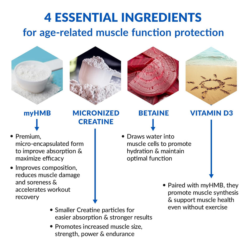 [Australia] - BioTrust Ageless Muscle Builder - Micronized Creatine Monohydrate Powder with HMB, Vitamin D3 & Betaine - Build & Preserve Naturally Declining Muscle Mass & Strength - Fruit Punch, 30 Servings 30 Servings (Pack of 1) 