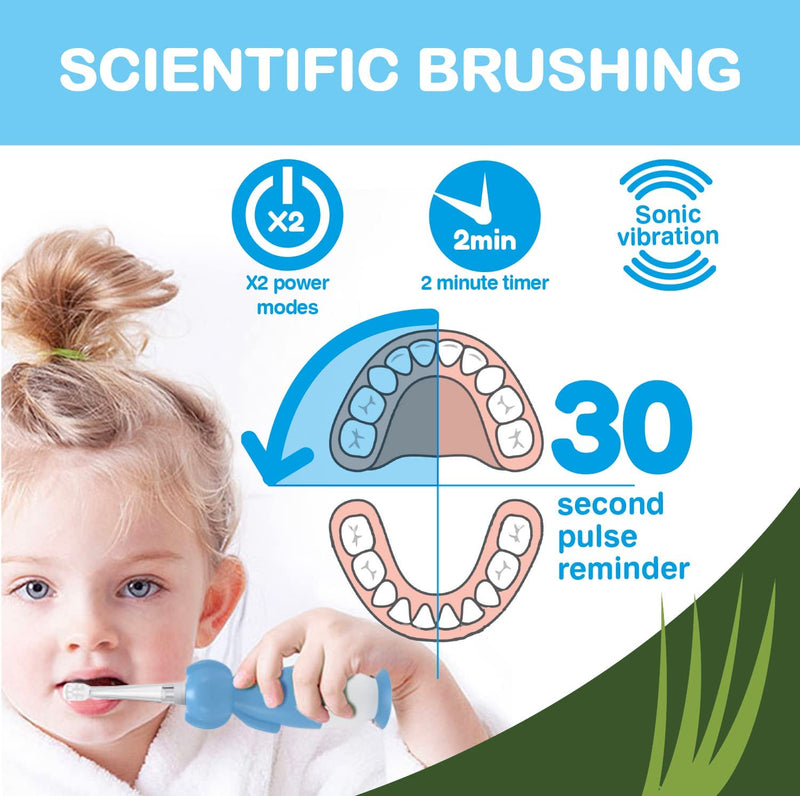 [Australia] - brush-baby WildOnes Kids Electric Rechargeable Toothbrush TIGER, 1 Handle, 3 Brush Heads, USB Charging Cable, for Ages 0-10 (Tiger) 