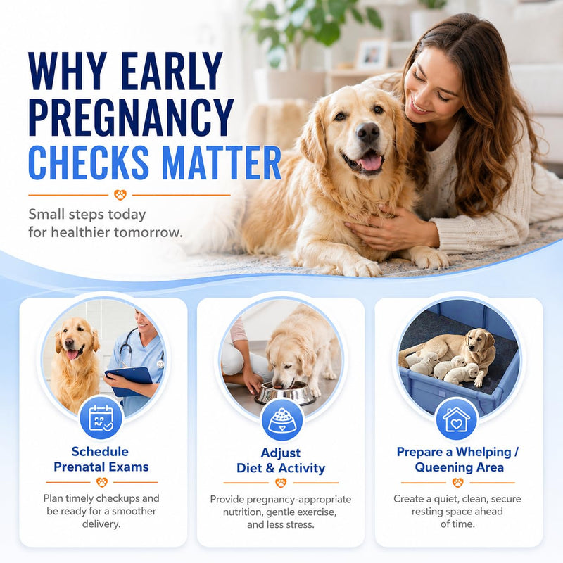 At-Home Dog & Cat Pregnancy Test Kit – Urine-Based Early Detection, Fast 5-Min Results, 98.9% Accurate, Non-Invasive & Stress-Free for Pets 1 Pack