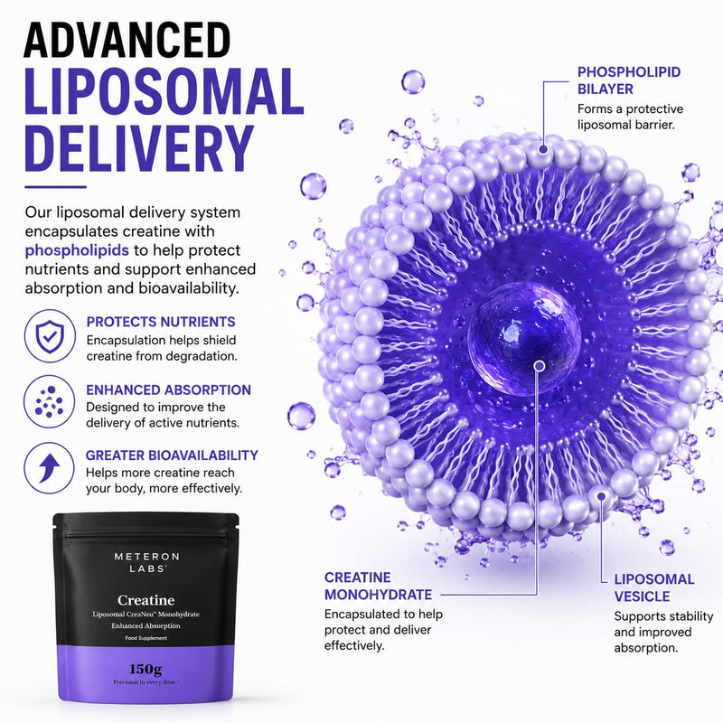 Liposomal Creatine Monohydrate Powder | Micronised Creatine Monohydrate | 5g Creatine Per Serving | Enhanced Liposomal Delivery | Unflavoured Creatine Powder | Vegan | 150g | Meteron Labs UK
