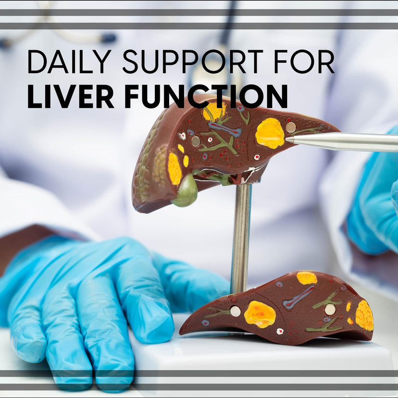 Liver Complex Capsules | TUDCA, NAC & Psyllium Husk | 60 Capsules | Supports Liver Function, Digestion & Metabolism | Vegan Capsules | Non-GMO | Gluten-Free Liver Supplement 60 count (Pack of 1)