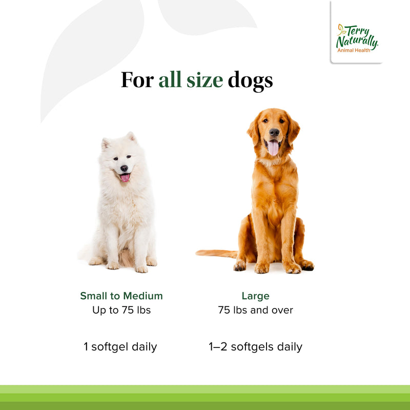 [Australia] - Terry Naturally Curacel Curcumin - Health Supplement for Dogs - Pet Curcumin Dog Supplies - Cellular Health Supplement with Antioxidants - 60 Softgels Standard Packaging 