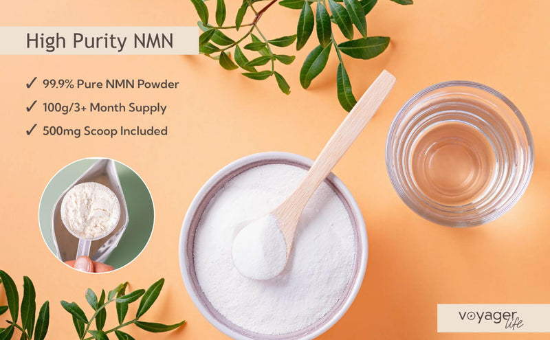 Voyager Pure NAD+ Powder Supplement | 100g Pouch – 3 Month Supply | 1g Per Serving | NAD Support for Cellular Health, Energy, Healthy Aging & Immune Support |3rd Party Tested, Non-GMO
