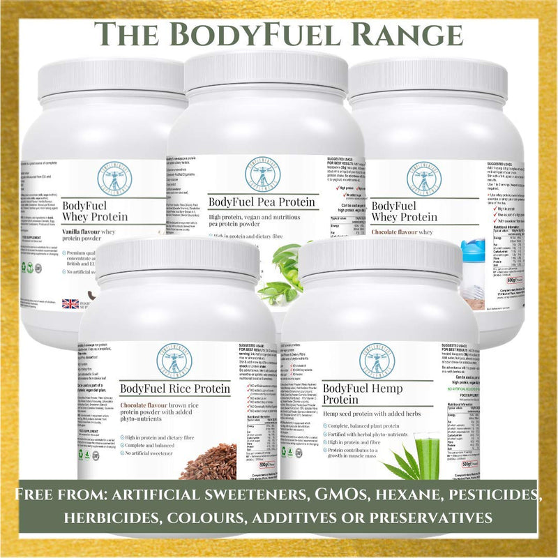 BodyFuel Hypoallergenic Pea Protein Isolate Powder – Non-Bloating Plant Protein with Phytonutrients, Green Tea, Chicory, Dandelion & Acai – Vegan, 500g