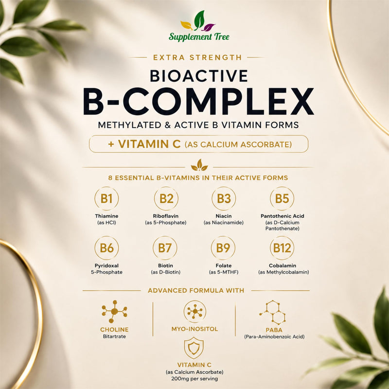 Bioactive B Complex with Vitamin C – Methylated B12, Folate (5-MTHF), B6 P5P, PABA, Choline, Inositol – High Strength, 90 Vegan Capsules – Non-GMO