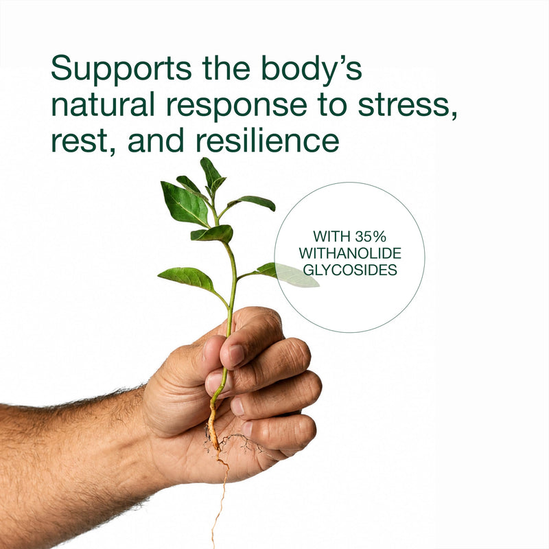 Ashwagandha BioActive - Patented Shoden - 35% Withanolides - High Strength Ashwagandha Capsules - Stress, Sleep & Mood - 60 Vegan Capsules