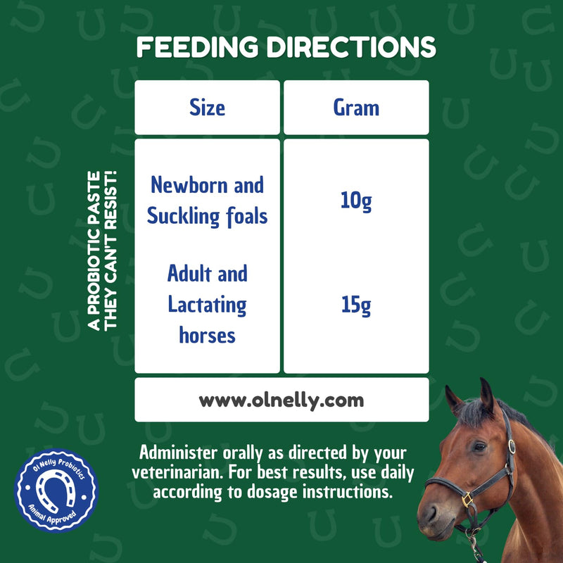 Horse Probiotics, Horse Paste Pre and Probiotics- Pre and Probiotics for Horses +Vitamins &Minerals- 4 Strains and 8 Billion CFU Serving- Immune and Gastro Health Support for Equines (80cc) Horse Probiotic Pack of 1 - PawsPlanet Australia