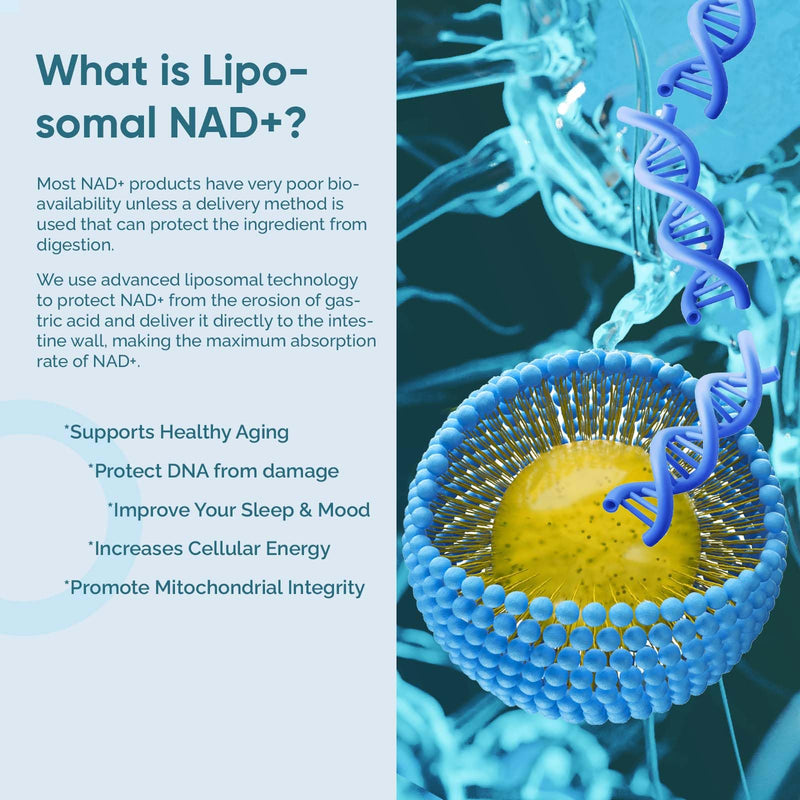 Liposomal NAD+ Supplement, 120 Count True NAD+ for Cellular Vitality & Energy Metabolism 1 Count (Pack of 120)