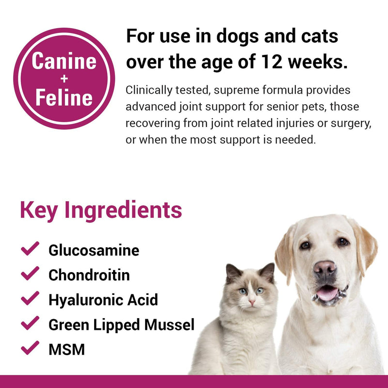 Vet Classics ArthriEASE-Gold Advanced Joint Support for Dogs, Cats, – Supports Pet Flexibility, Discomfort – Helps Improve Dog Joint Movement, Cat Cartilage Health - Includes Antioxidants – 120 Ct. 120 Soft Chews - PawsPlanet Australia