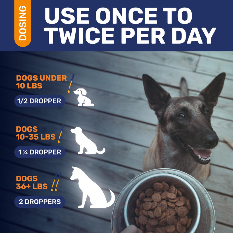 Natural Antibiotics for Dogs for Allergies, Infections, Coughs, Digestive Moments – Dog Antibiotics with Beef Flavor May Support Urination and Breathing – Organic Composition with Cranberry – 2 Oz - PawsPlanet Australia