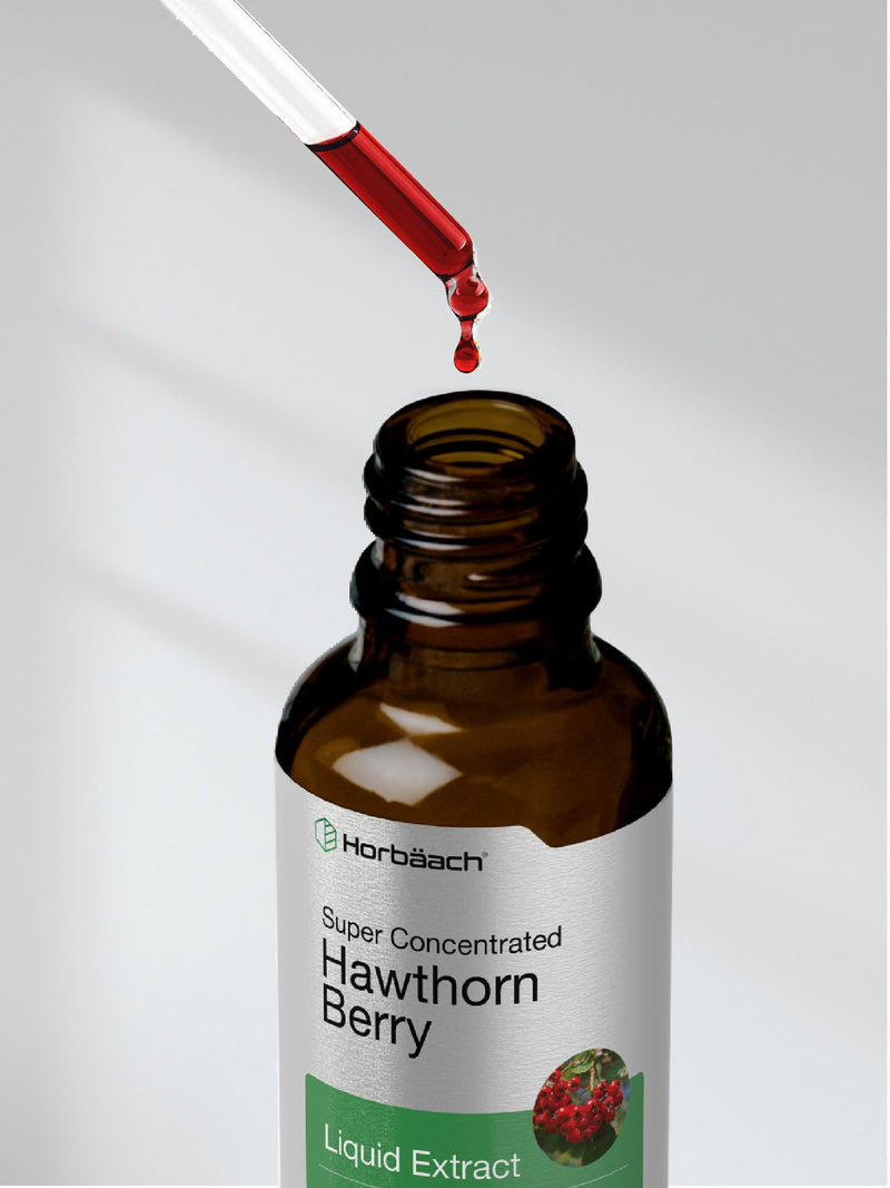 Horbäach Hawthorn Berry Extract | 2 fl oz | Alcohol Free Liquid Tincture | Vegetarian Supplement, Non-GMO, Gluten Free