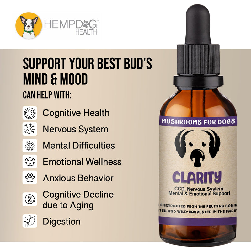 MycoDog Clarity Mushroom Extract & Adaptogen Tincture for Canines - Mushroom & Ashwagandha Supplements for Nervous, Mental, & Emotional Support - Reishi Mushroom, Cordyceps, & Lions Mane Supplement - PawsPlanet Australia