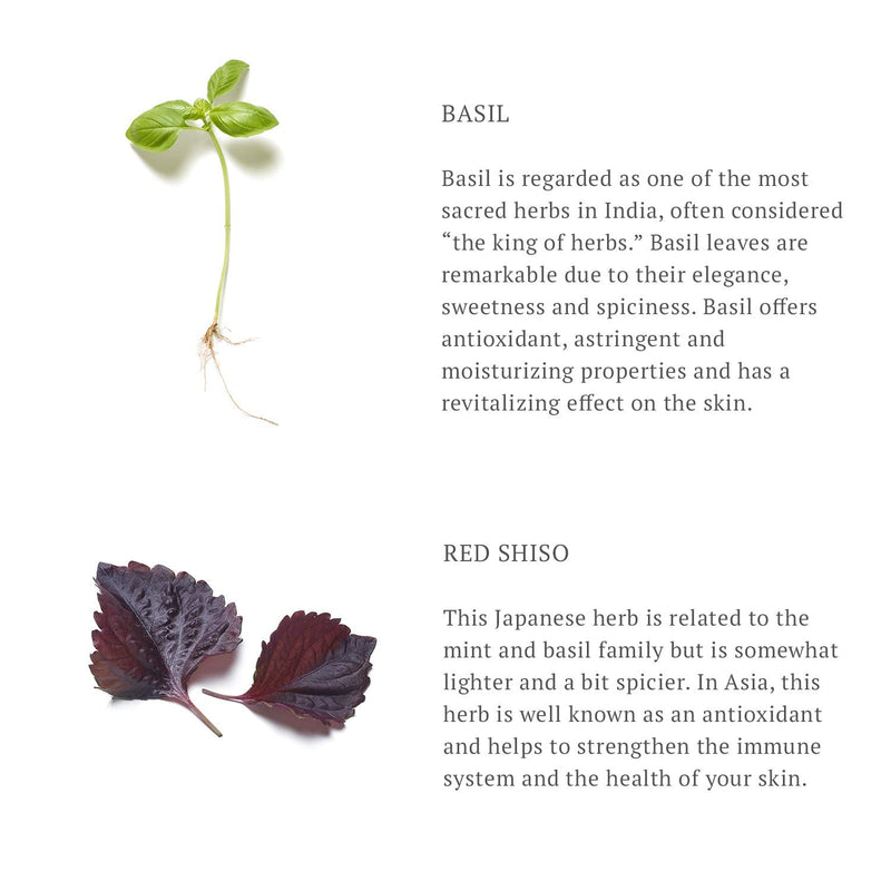 [Australia] - RITUALS The Ritual of Samurai Aftershave Balm, 100 ml 