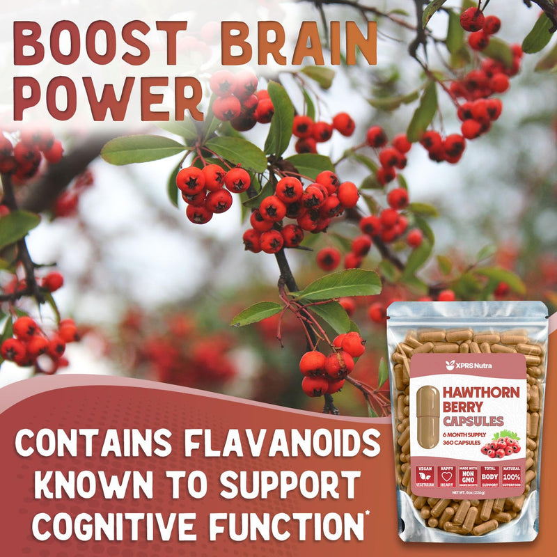 [Australia] - Hawthorn Berry Powder Capsules - 360 Count (6 Month Supply) - Premium Hawthorn Berry Capsules for Cardiovascular Support - Hawthorne Berry Powder - An Ideal Hawthorne Supplement for Men and Women 