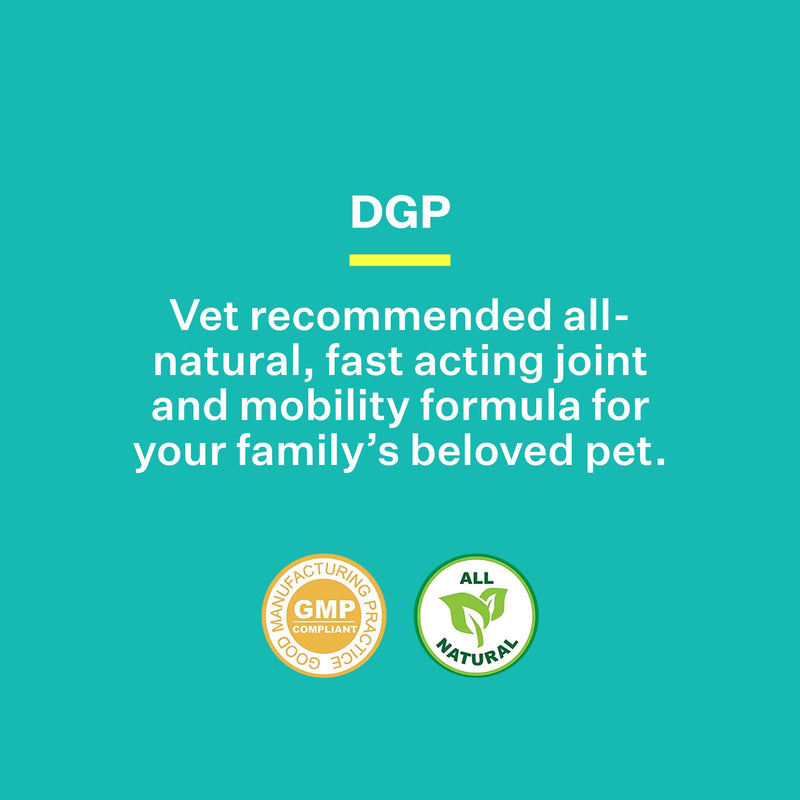 DGP, All-Natural Joint Supplement for Dogs - Joint Support with Turmeric, Boswellia Extract & More - Quick Effect for Immediate Mobility Support - 60 Chewable Pet Tablets - PawsPlanet Australia