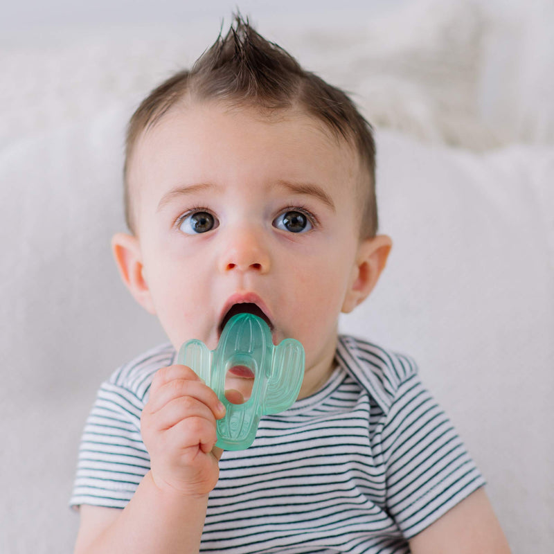 [Australia] - Itzy Ritzy Water-Filled Teethers - Cold Cutie Coolers Textured On Both Sides to Massage Sore Gums & Emerging Teeth - Can Be Chilled in Refrigerator, Set of 3 Green Cactus Water Teethers 