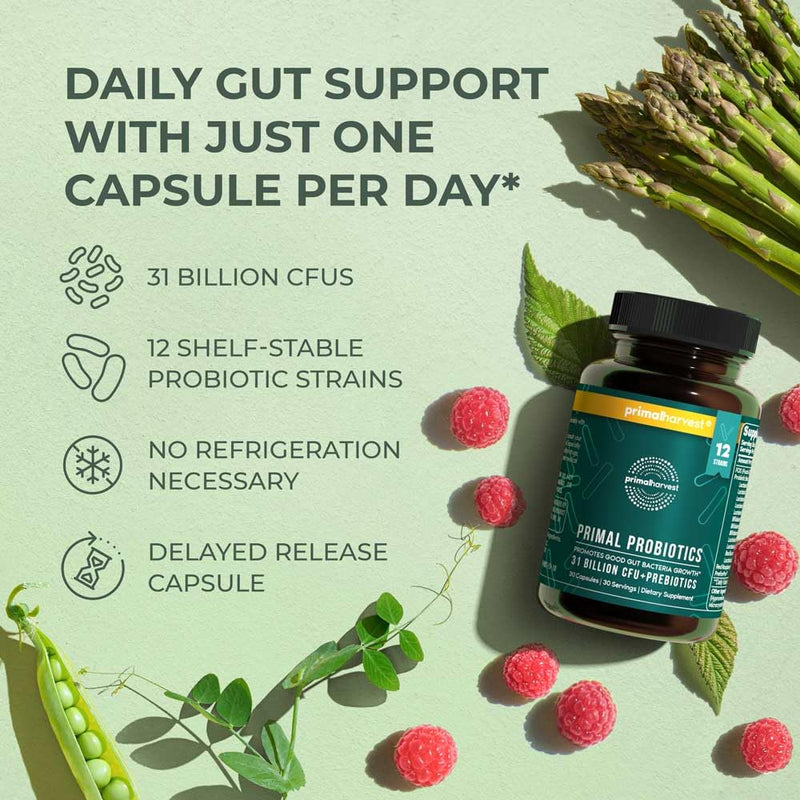 [Australia] - Primal Harvest PREbiotics and PRObiotics for Women & Men, 30 Oral Capsules for Gut Health, 12 Dynamic Strains 30 servings (1 Pack) 