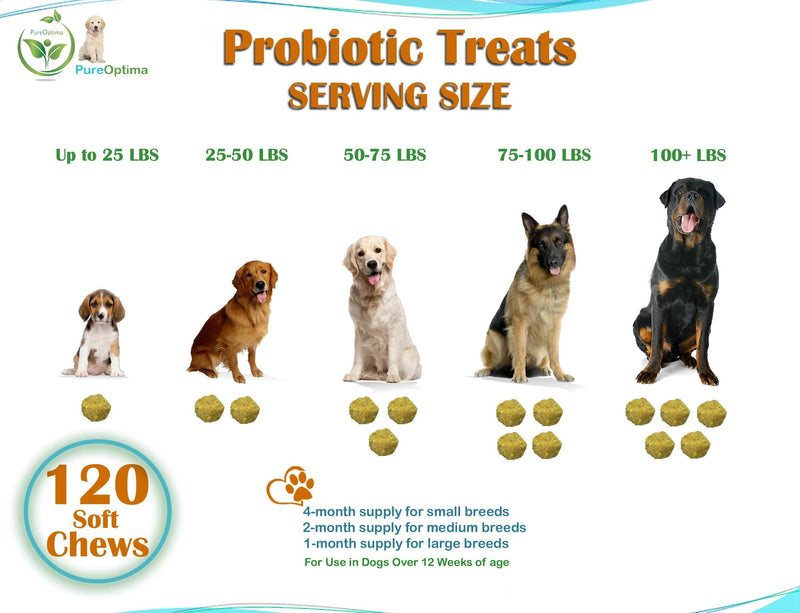 Probiotics Chews for Dogs, Digestive Enzymes + Prebiotics Improves Digestion, Diarrhea, Constipation, Gas, Bad Breath, Leaky Gut, Allergy Immunity Daily Supplement 120 Counts - PawsPlanet Australia