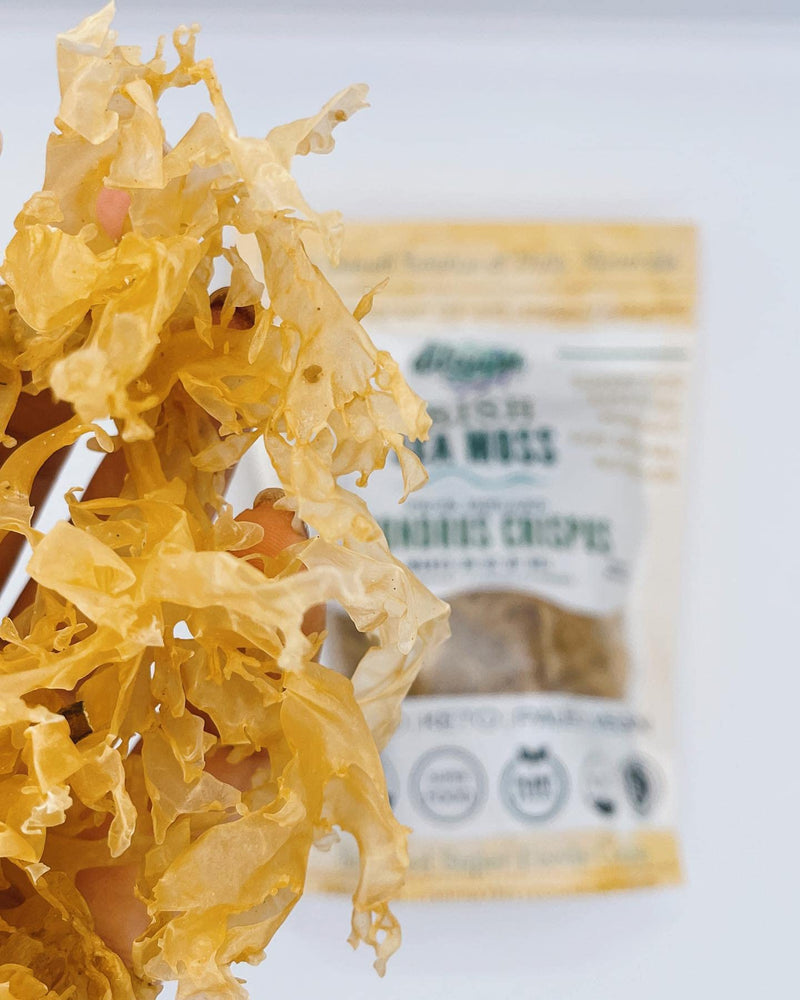 Irish Sea Moss, Wildcrafted, Organic Raw Chondrus Crispus, Makes 30oz Gel | Golden Irish Sea Moss From Ireland | Rinse and Soak Whole Leaf Sea Moss, Blend Gel for Smoothies, Drinks, Soups, or Sauces 1.23 Ounce (Pack of 1)