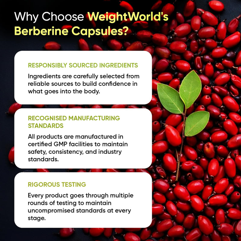 Berberine Supplement - 500mg per Capsule - 4 Months Supply - 120 Capsules - Stable Berberine Form- 1 per Day - Vegan-Friendly & Non-GMO - Sourced from Berberis Aristata