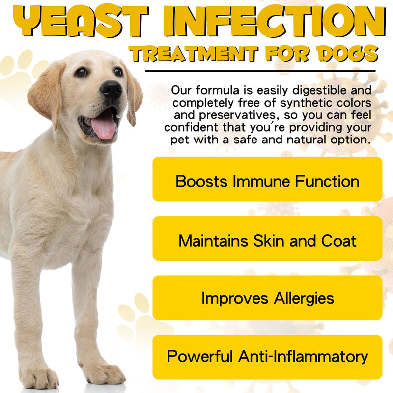 ALIVO Yeast Infection Treatment for Dogs, Natural Yeast Infection Treatment Supports Dog Itch Relief, Dog Ear Infection, Dog Allergy Relief, Pet Supplies Dog Herbal Supplement, Bacon Flavor - 2 oz 2 Fl Oz - PawsPlanet Australia