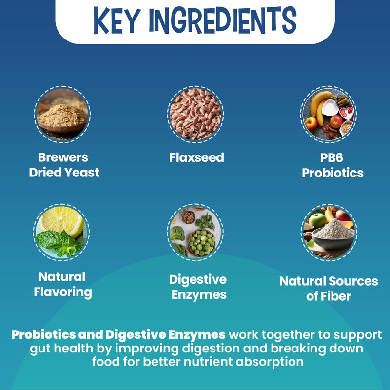 Replenish Probiotic and Digestive Enzyme Chews for Dogs - Dr. Rachel's Daily Canine Probiotics and Dog Digestive Enzymes, Nutrient Absorption Chews - Pet Dietary Balance, Stomach Relief - 60 Count - PawsPlanet Australia
