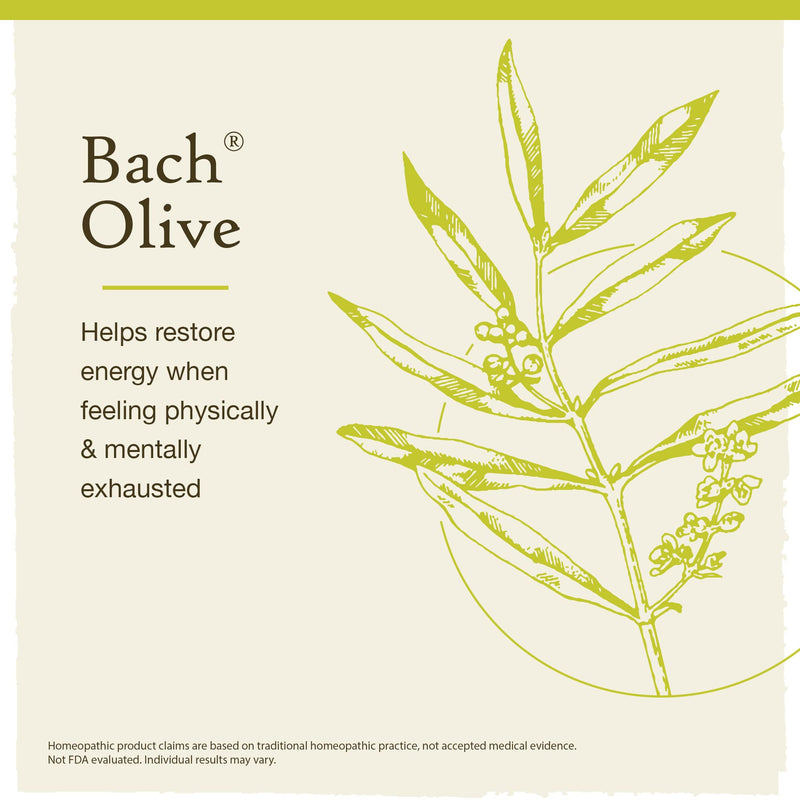 [Australia] - Bach Original Flower Remedies, Olive for Energy (Non-Alcohol Formula), Natural Homeopathic Flower Essence, Holistic Wellness and Stress Relief, Vegan, 10mL Dropper 