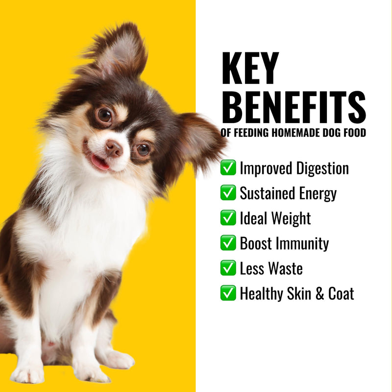 Homemade Dog Food Supplement Dog Vitamins Made in USA Add to Holistic Whole Food Diets Raw BARF All Breeds Puppy Adult 16oz Powder - PawsPlanet Australia