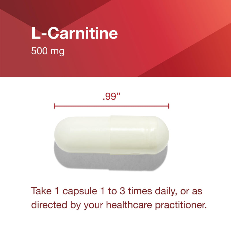[Australia] - PROTOCOL FOR LIFE BALANCE L-Carnitine 500mg - Cell Energy Metabolism - Exercise Performance, Recovery - 60 Veg Caps 