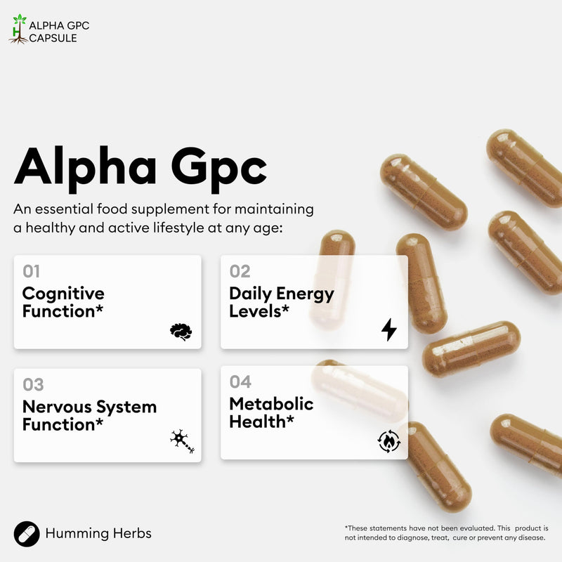 Humming Herbs Alpha GPC Complex 11-in-1 – Alpha-GPC, Lion’s Mane, Bacopa, L-Tyrosine, L-Theanine, Phosphatidylserine, Saffron, Vitamins B5 B6 B12 – 120 Vegan Capsules | 40 Day Supply