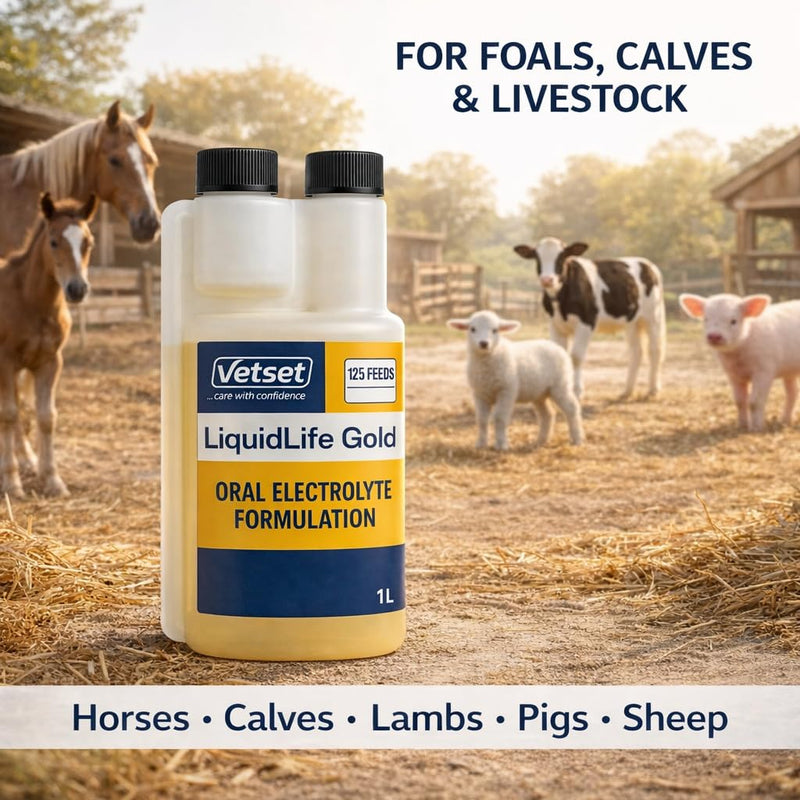 LiquidLife Gold |Foal & Calves Electrolyte Solution |Oral Rehydration & Energy Supplement for Calves, Lambs & Pigs |Restores Fluids, Salts & Vitality After Dehydration, Scours or Stress 1 Litre