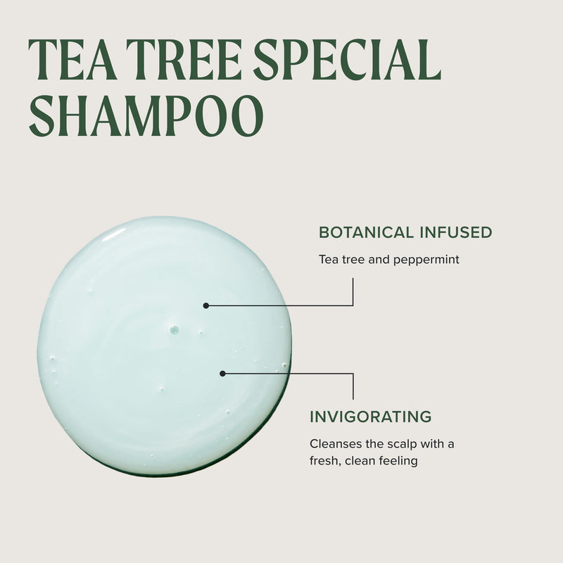 Tea Tree Special Shampoo, Deep Cleans, Refreshes Scalp, For All Hair Types, Especially Oily Hair 10.14 Fl Oz (Pack of 1)